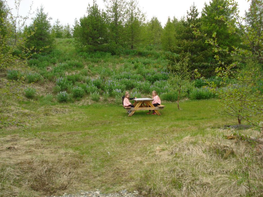 Vinland Camping Pods Egilsstadir Room photo